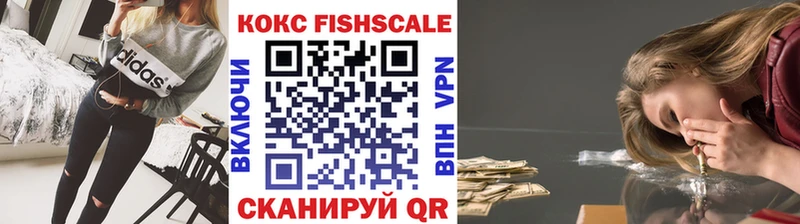 где купить наркотик  Называевск  КОКАИН Fish Scale 