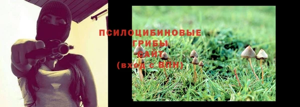 прущий лед Липки