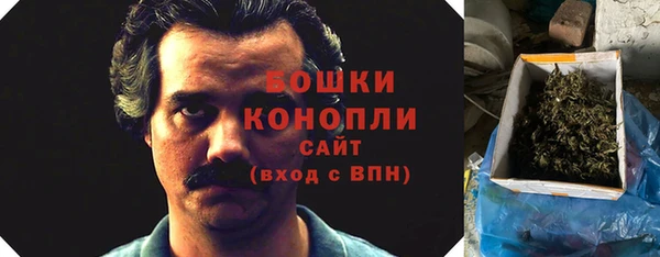 гидра Лагань