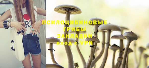первитин Лиски