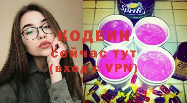 крисы Лабытнанги