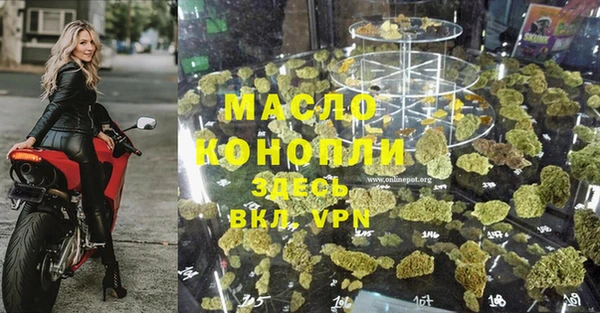 амф Ладушкин