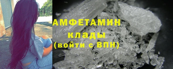 амф Ладушкин