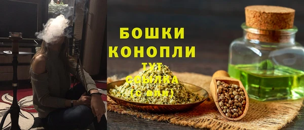 амф Ладушкин