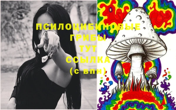 крисы Лабытнанги