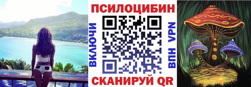 наркошоп  Называевск  Псилоцибиновые грибы MAGIC MUSHROOMS 